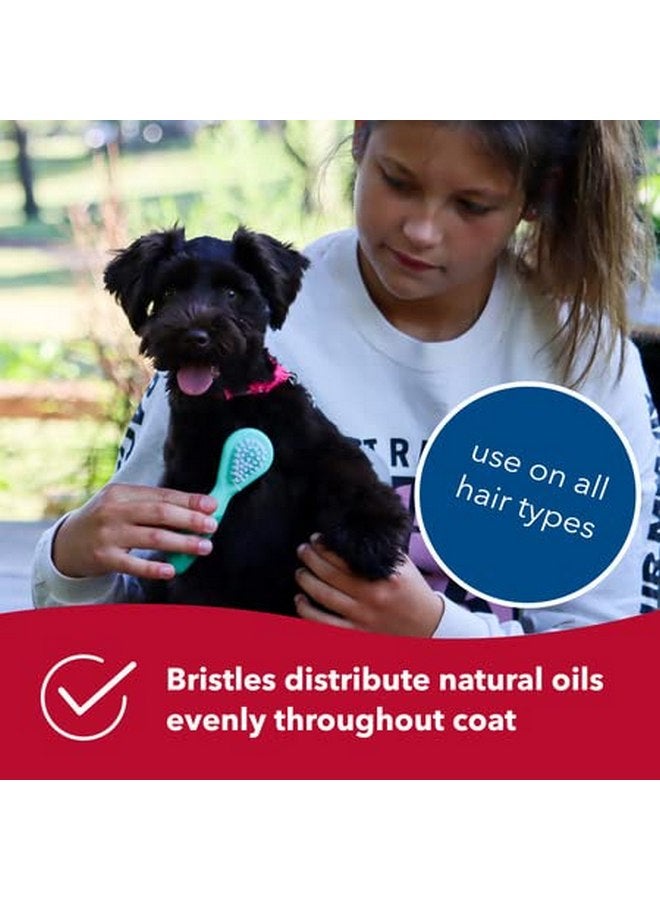Coastal Pet Li'l Pals Dog Combo Brush - Dog Grooming Brush for Small Dogs - One Size - Image 5