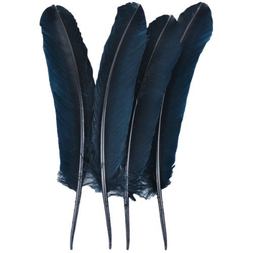 Touch of Nature 40365 4-Piece Turkey Feather for Art and Craft, 12.25 to 13-Inch, Black - Image 5