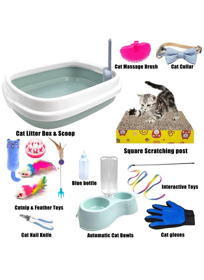 Hlimior Kitten Starter Kit, 15 Piece Cat Essentials Set Includes Cat Litter Box,Cat Toys, Cat Collars，Cat Scratch Pad, cat Nail File，Automatic Cat Feed Bowls, Pet Grooming Gloves for Cats Daily Life