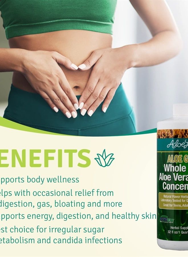 Aloe Life Whole Leaf Aloe Vera Juice Concentrate, Soothing Relief for Indigestion, Antioxidant Catalyst, Supports Energy & Wellness, Organic Aloe Leaves, Gluten-Free (Aloe Gold, 32 oz) | 2-Pack  - Image 4