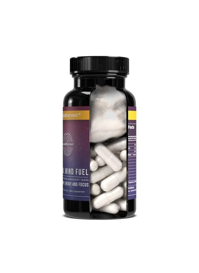 Primal Harvest - 2 Pack, Primal Mind Fuel Brain Booster for Focus, Energy, Clarity, Memory Brain Health 30 Capsules Nootropics Brain Support Supplement for Men and Women - Image 1