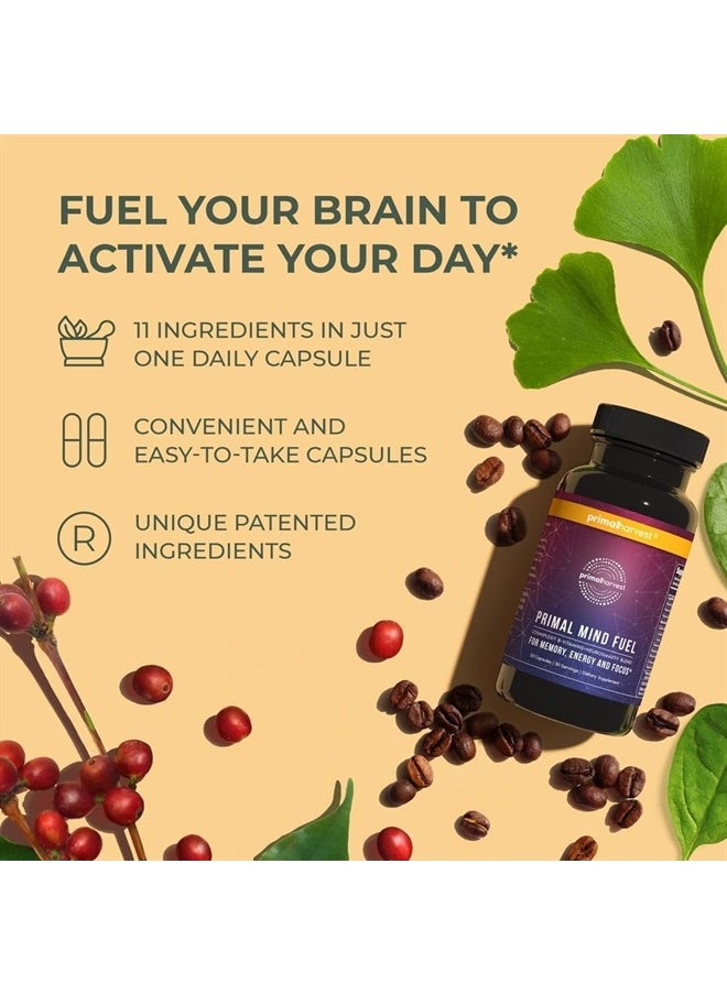 Primal Harvest - 2 Pack, Primal Mind Fuel Brain Booster for Focus, Energy, Clarity, Memory Brain Health 30 Capsules Nootropics Brain Support Supplement for Men and Women - Image 1