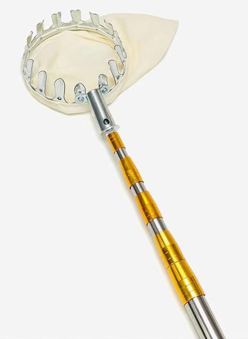 DubaiGallery Fruit Picker with Telescoping Handle Lightweight Apple Picker with Fabric Bags Outdoor Pick-Up Tools for Lemons Apples Pears Peaches Mangoes Oranges - Image 2