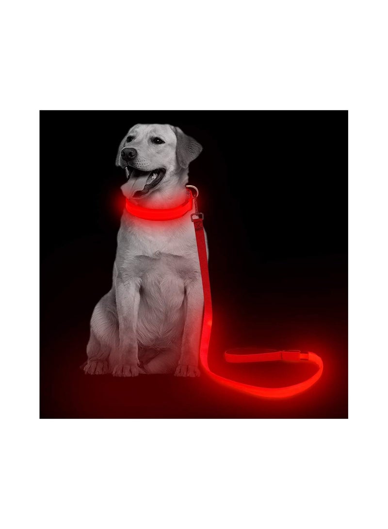 USB Light UP Rechargeable Nylon Dog Leash Red - Image 1