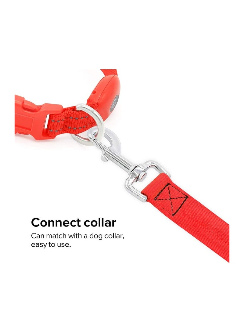 USB Light UP Rechargeable Nylon Dog Leash Red - Image 4
