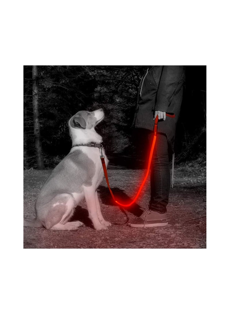USB Light UP Rechargeable Nylon Dog Leash Red - Image 2