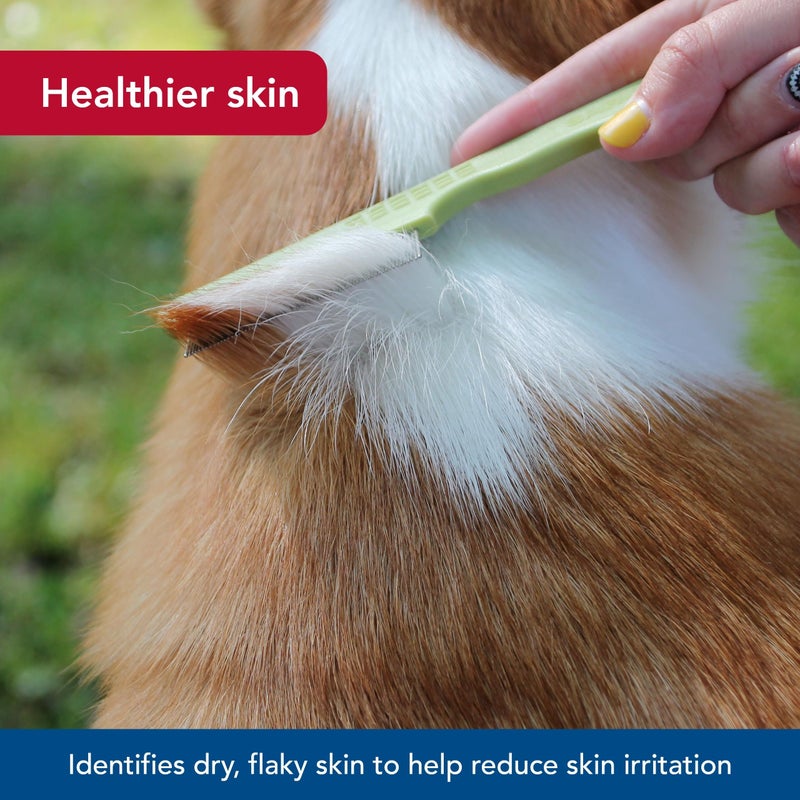 Coastal Pet Safari Double Row Comb - Helps Dry Skin - For Flea Prevention and Detection in Pets with Short and Long Hair - Image 4