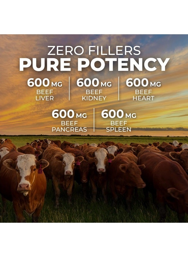 ForestLeaf Beef Organ Supplement - Grass Fed & Pasture Raised - Total Body Wellness & Performance, Organ Complex with 3000mg of Desiccated Beef Liver, Heart, Kidney, Pancreas, Spleen (180 Capsules) - Image 5