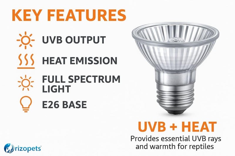 rizopets Reptile Heat Bulb, Full Spectrum UVA/UVB E27 Socket Base Basking Bulb for Turtle, Reptiles, Amphibians, Aquarium Tank & Terrarium (25 Watt, Pack of 01) - Image 3