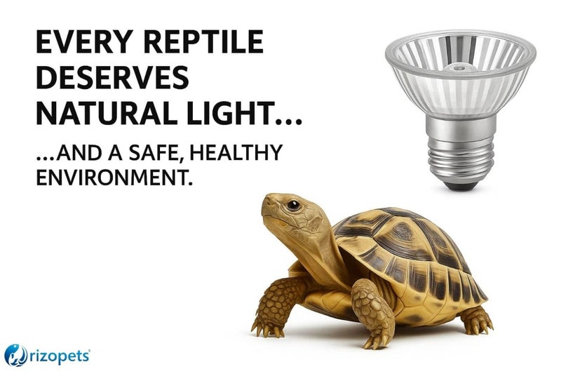 rizopets Reptile Heat Bulb, Full Spectrum UVA/UVB E27 Socket Base Basking Bulb for Turtle, Reptiles, Amphibians, Aquarium Tank & Terrarium (25 Watt, Pack of 01) - Image 5