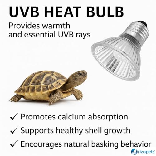 rizopets Reptile Heat Bulb, Full Spectrum UVA/UVB E27 Socket Base Basking Bulb for Turtle, Reptiles, Amphibians, Aquarium Tank & Terrarium (25 Watt, Pack of 01) - Image 2