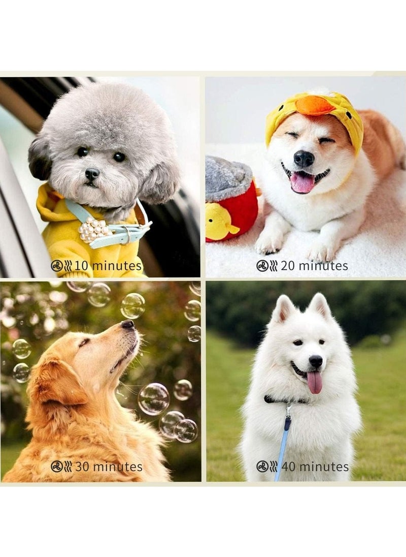Royal Polar - RoyalPolar High Velocity Pet Hair Dryer Blower Grooming Dryer with Heater Blow Force Stepless Adjustable Speed, Reduce Noise Heat Insulation - Image 1