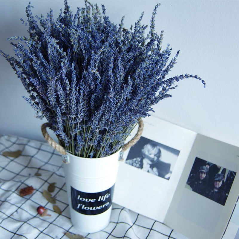 TooGet Natural Lavender Bundles, Freshly Harvested 200+ Stems Dried Lavender Bunch 16" - 18" Long, Decorative Flowers Bouquet for Home Decor, Crafts, Gift, Wedding or Any Occasion - Image 3