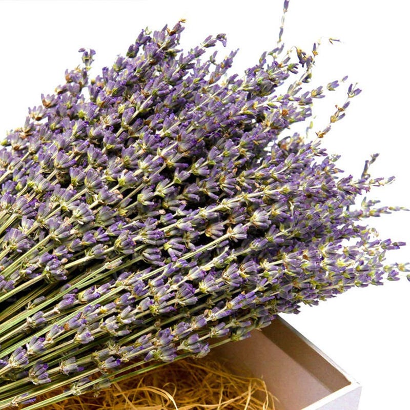 TooGet Natural Lavender Bundles, Freshly Harvested 200+ Stems Dried Lavender Bunch 16" - 18" Long, Decorative Flowers Bouquet for Home Decor, Crafts, Gift, Wedding or Any Occasion - Image 2