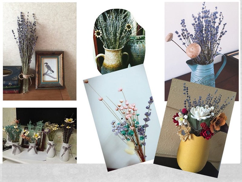 TooGet Natural Lavender Bundles, Freshly Harvested 200+ Stems Dried Lavender Bunch 16" - 18" Long, Decorative Flowers Bouquet for Home Decor, Crafts, Gift, Wedding or Any Occasion - Image 5