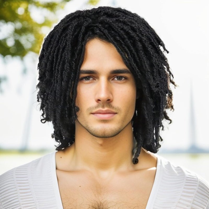GNIMEGIL Black Dreadlocks Wig for Men Locs Wig Short Afro Braids Wigs Styles 14 inch African American Wig Twist Synthetic Curly Natural Wig South Africa 1B