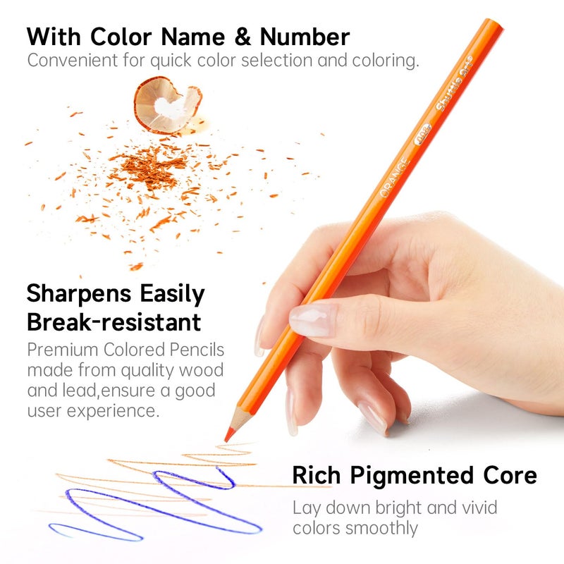 Shuttle Art Colored Pencils Bulk, 408 Pack Coloring Pencil Set Plus 20 Sharpeners, 12 Assorted Colors, Classroom Pack School Supplies - Image 4