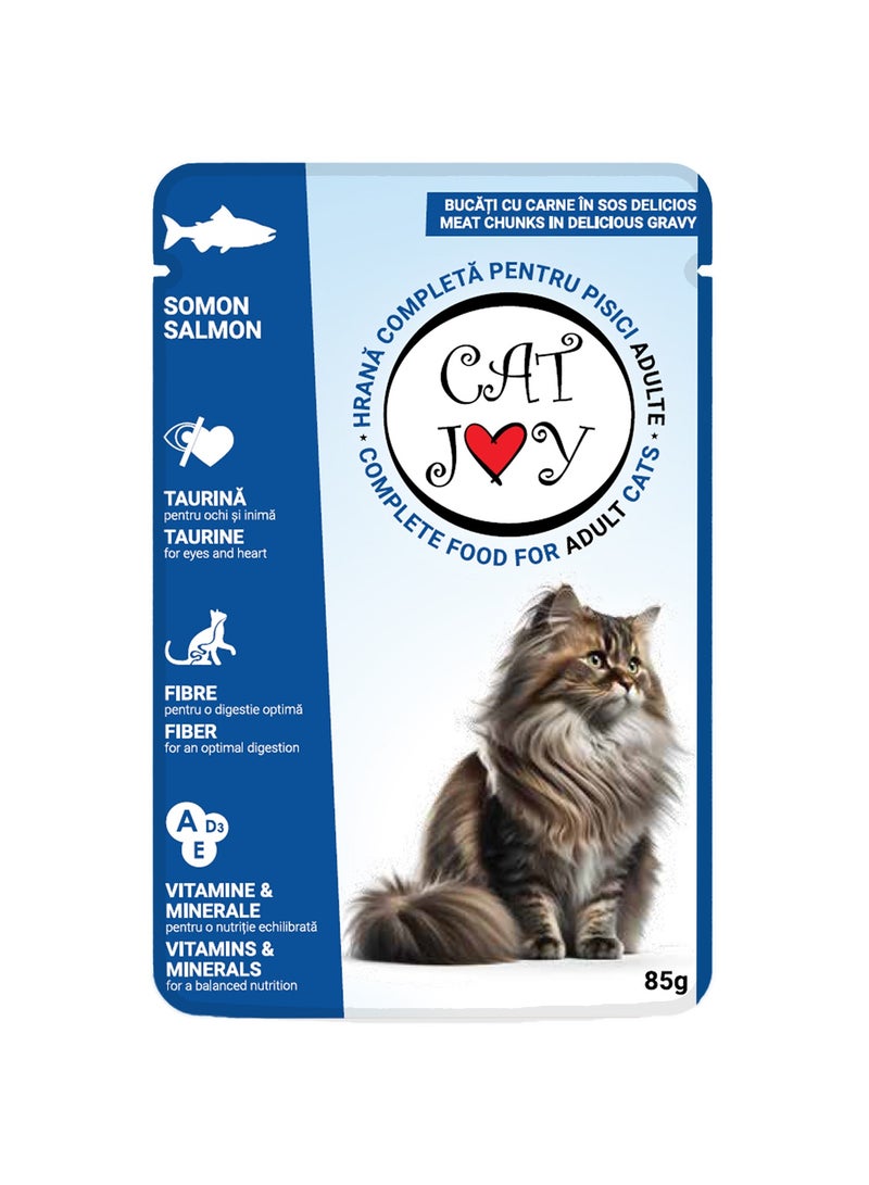 قطط جوي مع السلمون في المرق 85 جرام