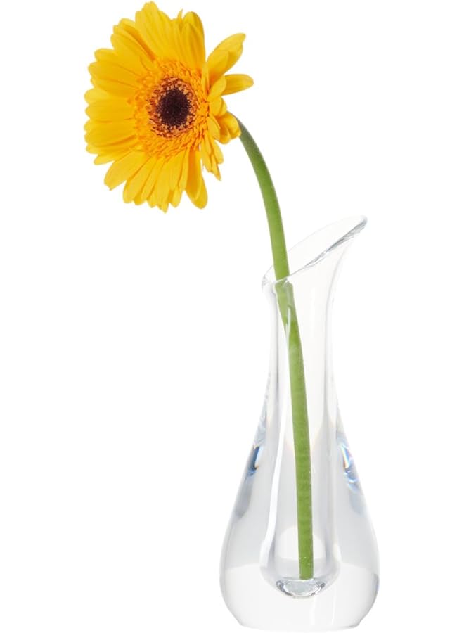 erorex Acrylic Single Flower Vase, Unbreakable Curvy Decorative Design, 2 Size Options, Long and Short (Clear, Short) - Image 1