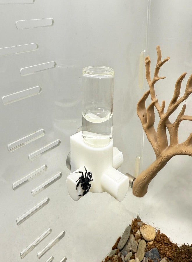 Daerky Jumping Spider Water Dispenser, Magnetic Hanging Feeder,Suitable for Jumping Spiders,Tarantulas, Praying Mantises,Arboreal Animals, and Other Small Animal Enclosure Accessories (White, 5ML) - Image 1