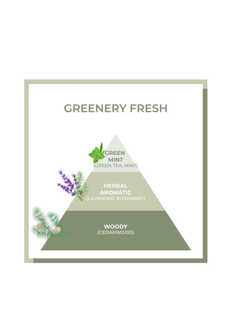 AMOS PROFESSIONAL The Green Tea Moisturizing Hair Mask 8.45 oz (250ml) Nourishing and Moisturizing Hair Mask for Hair Growth Deep Conditioner Korean Hair Growth Mask - Image 4