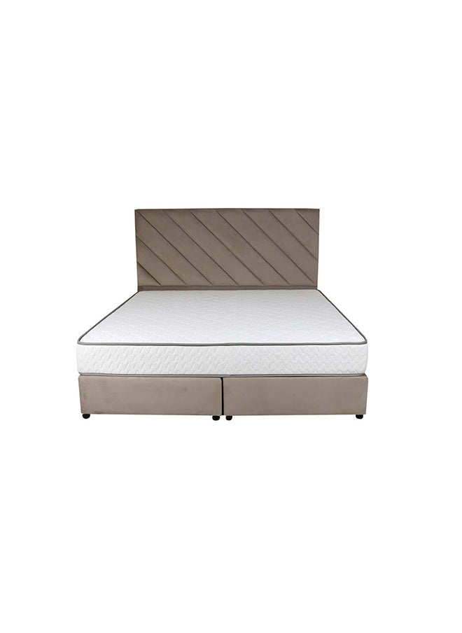 Bed and Mattress Zone Eleganza Upholstered Bed 203 X 120 Twin Size Muted Beige Color, Mattress Size-200x120cm (Mattress sold separately)  - Image 3