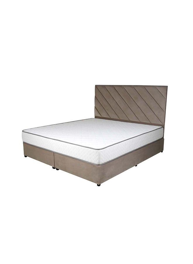 Bed and Mattress Zone Eleganza Upholstered Bed 203 X 120 Twin Size Muted Beige Color, Mattress Size-200x120cm (Mattress sold separately)  - Image 2