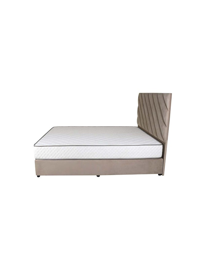 Bed and Mattress Zone Eleganza Upholstered Bed 203 X 120 Twin Size Muted Beige Color, Mattress Size-200x120cm (Mattress sold separately)  - Image 4