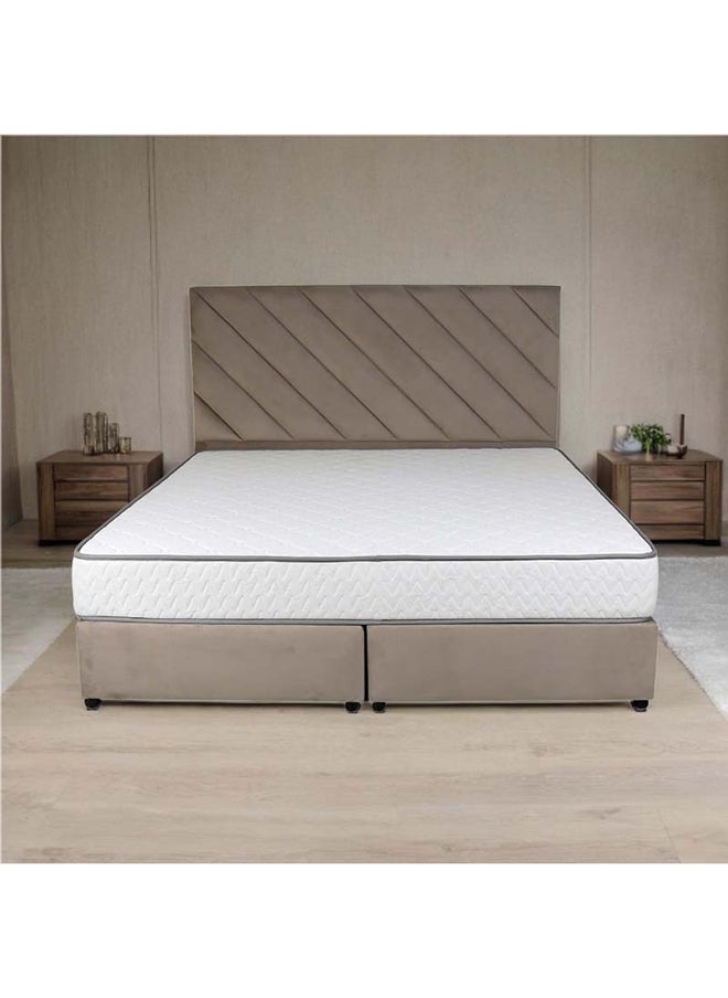 Bed and Mattress Zone Eleganza Upholstered Bed 203 X 120 Twin Size Muted Beige Color, Mattress Size-200x120cm (Mattress sold separately)  - Image 5