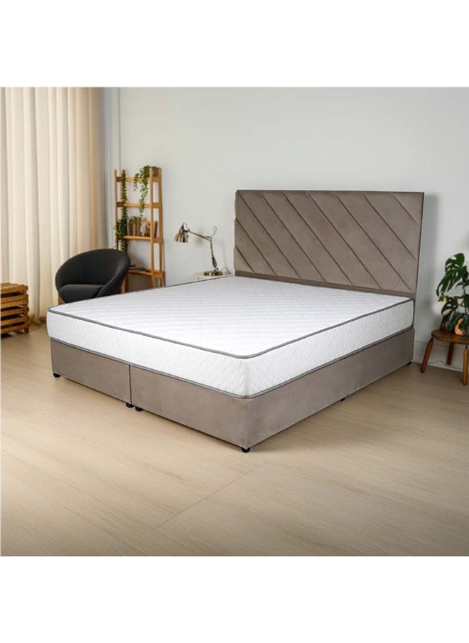 Bed and Mattress Zone Eleganza Upholstered Bed 203 X 120 Twin Size Muted Beige Color, Mattress Size-200x120cm (Mattress sold separately)  - Image 1