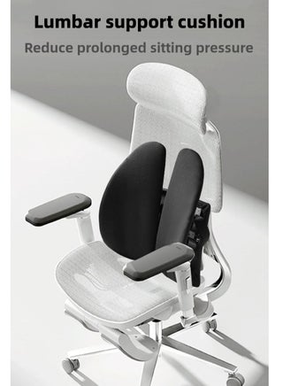 Adjustable Lumbar Support Pillow – Ergonomic Memory Foam Back Cushion for Lower Back Pain Relief & Improved Posture, Adjustable Slider for Office Chair, Car, Plane & Long Sitting Comfort - pzsku/Z4CB46E5C3F086E70F2A9Z/45/_/1732938160/f4239649-3dc5-4119-aad5-eaaa0d4a0f10