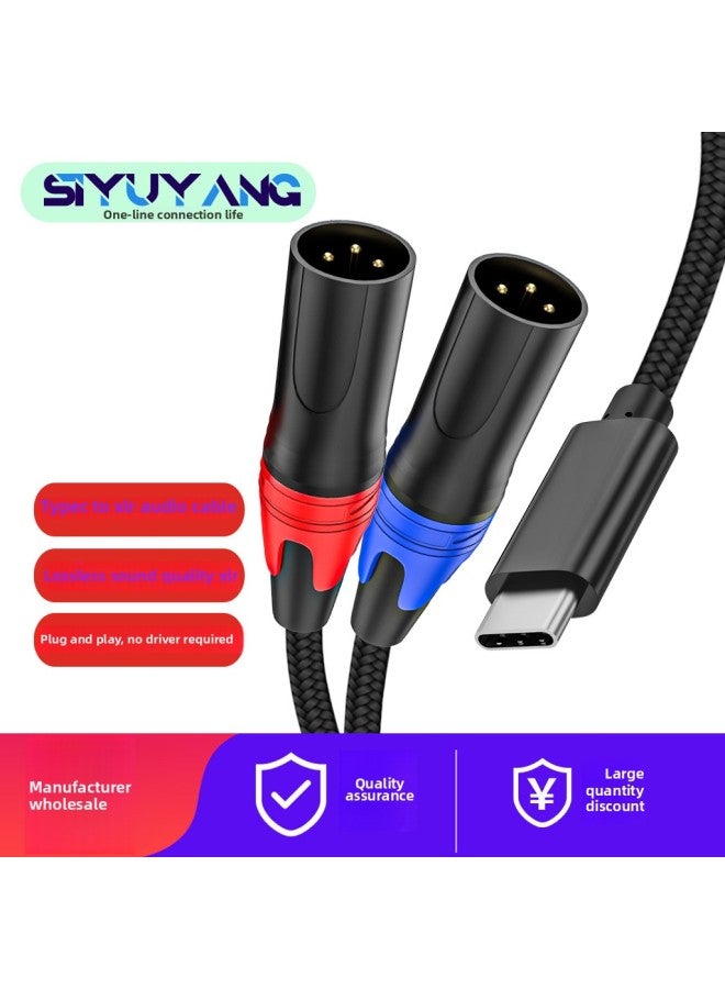 TYPE C إلى Dual-Canon Audio Line الهاتف المحمول إلى مكبر الصوت المكتبي مكبر صوت جيتار TYPE C إلى XLR-اللون: أسود-الطول: 1 متر