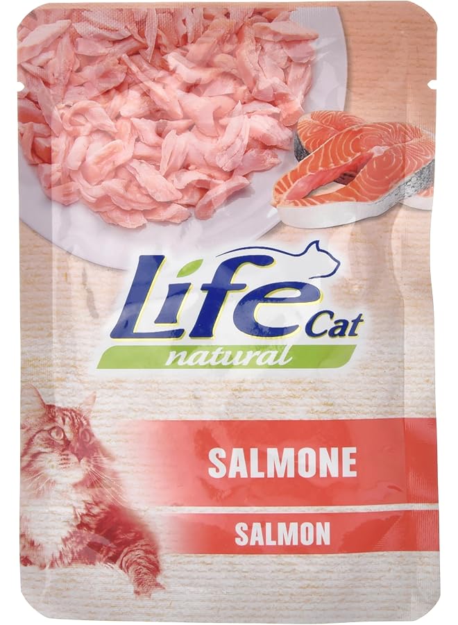 HAPIPET Pouch Salmon 70G - Image 1