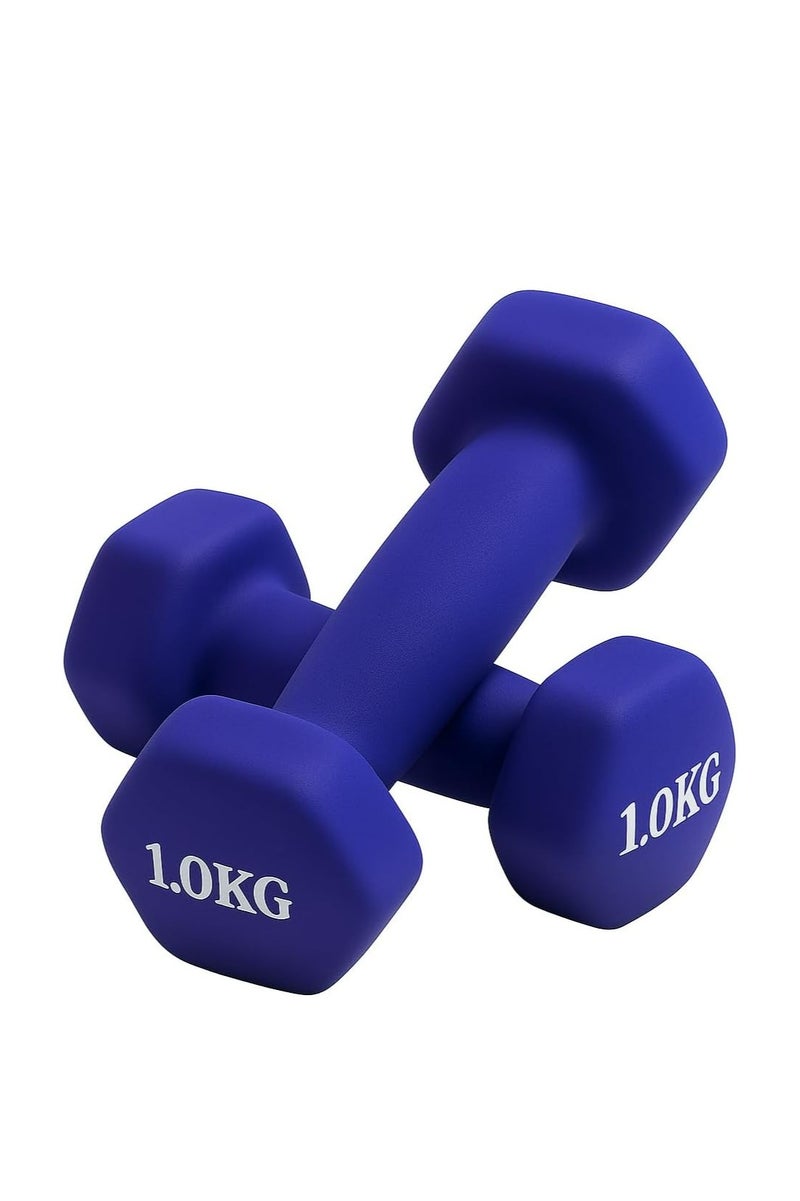 ENDLESS  Neoprene Dumbbells of 1Kg x 2 | Material : Iron with Neoprene coat | Exercise and Fitness Weights for Women and Men at Home/Gym  - Image 1