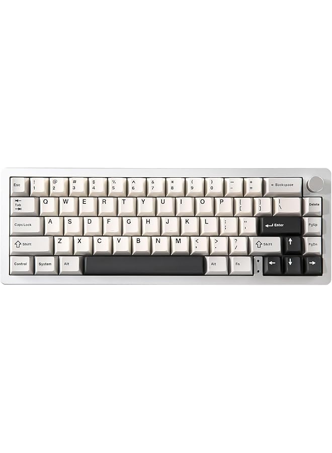 YUNZII Al66 Wireless Mechanical Keyboard 65% Knob Control Aluminum Gaming Keyboard Bluetooth/2.4G/Wired Hot Swappable Pre Lubed Switches Gasket Mounted Rgb Keyboard For Win/Mac（Milk Switch Silver)  - Image 1