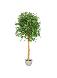 YATAI Artificial canada Leaf Plant About 2.1 Meters – Artificial canada Leaf Tree With Plastic Pot – Plants For Home Indoor Artificial Tree Outdoor Fake Plants For Balcony – Artificial Plants Outdoor - pzsku/Z4CB79BD09162AB934ACCZ/45/_/1704537781/7ce41836-6820-4991-84fe-233a6eddcb38