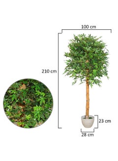 YATAI Artificial canada Leaf Plant About 2.1 Meters – Artificial canada Leaf Tree With Plastic Pot – Plants For Home Indoor Artificial Tree Outdoor Fake Plants For Balcony – Artificial Plants Outdoor - pzsku/Z4CB79BD09162AB934ACCZ/45/_/1704537782/19c78807-5254-4c95-b4a1-88517d76cc23