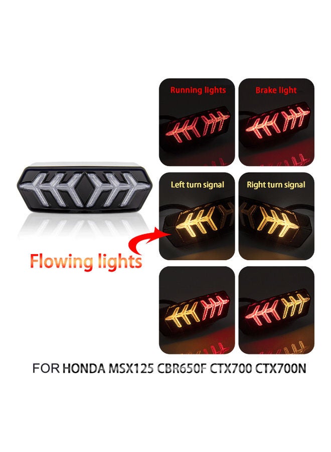 Loquat Motorcycle LED Tail Light - Image 4