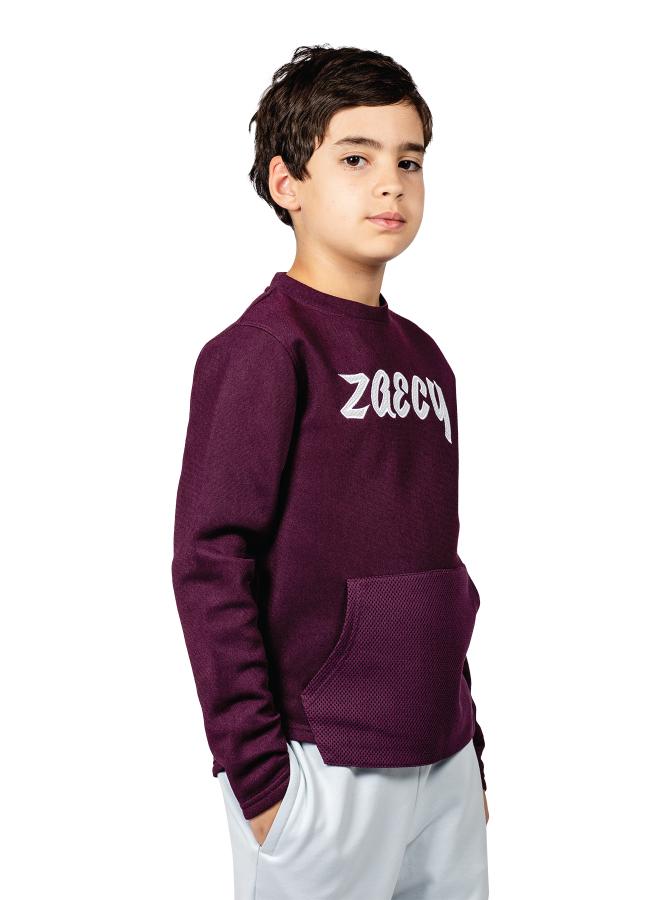 زيسي سويت شيرت بويز بقصة عادية بياقة دائرية - Image 3