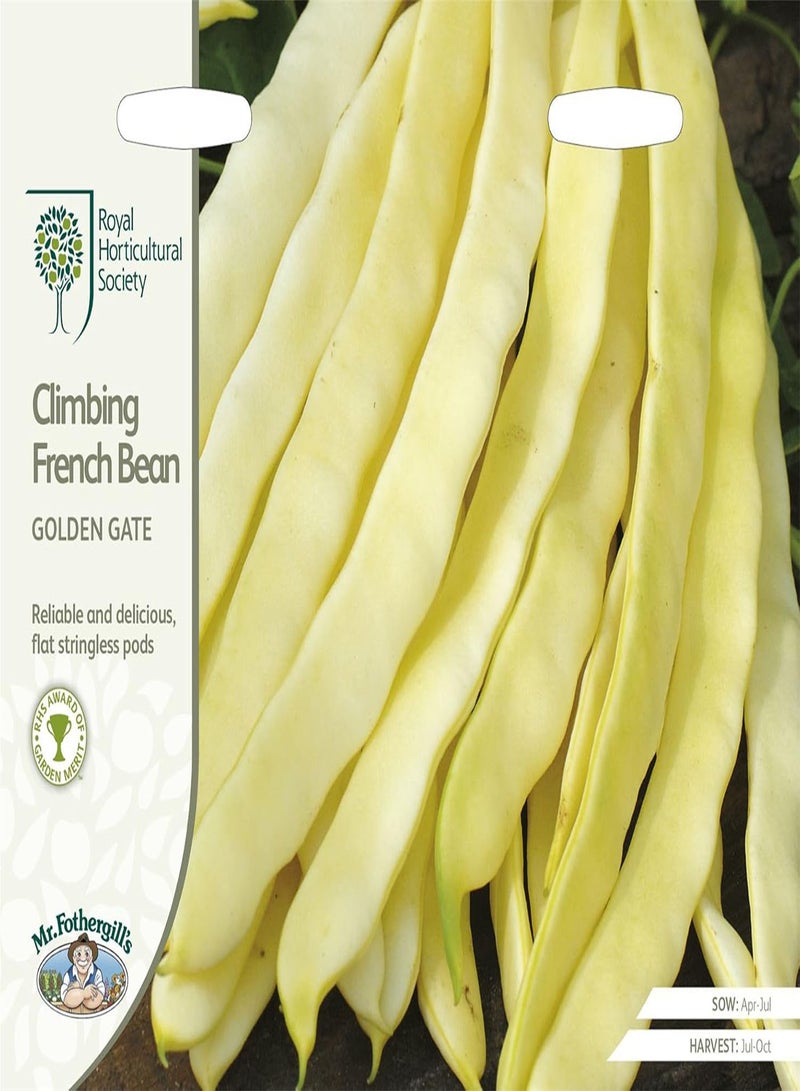 GGOOT - Vegetable - RHS Climbing French Bean Golden Gate - 50 Seeds  - Image 1