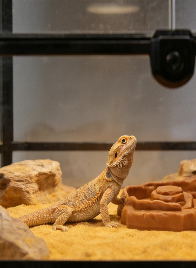 DQITJ 3 Pack Reptile Feeder Bowl Food and Water Dish Anti-Slip Reptile Feeding Basin with Ramp for Lizard Snake Gecko Tortoise - Image 3