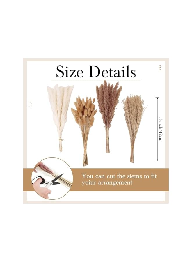 The Bros 100 PCS Dried Pampas Grass Decor, Brown and White Pampas Grass, Bunny Tails Dried Flowers, Reed Grass Bouquet, Pampas Grass Decor for Wedding , Boho Party Decorations, Table Decor - Image 2