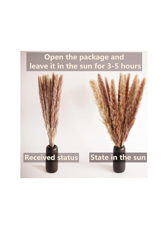 The Bros 100 PCS Dried Pampas Grass Decor, Brown and White Pampas Grass, Bunny Tails Dried Flowers, Reed Grass Bouquet, Pampas Grass Decor for Wedding , Boho Party Decorations, Table Decor - Image 4