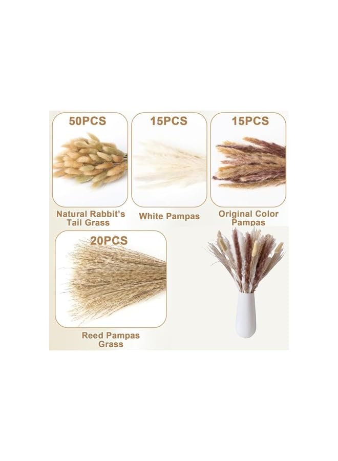 The Bros 100 PCS Dried Pampas Grass Decor, Brown and White Pampas Grass, Bunny Tails Dried Flowers, Reed Grass Bouquet, Pampas Grass Decor for Wedding , Boho Party Decorations, Table Decor - Image 3