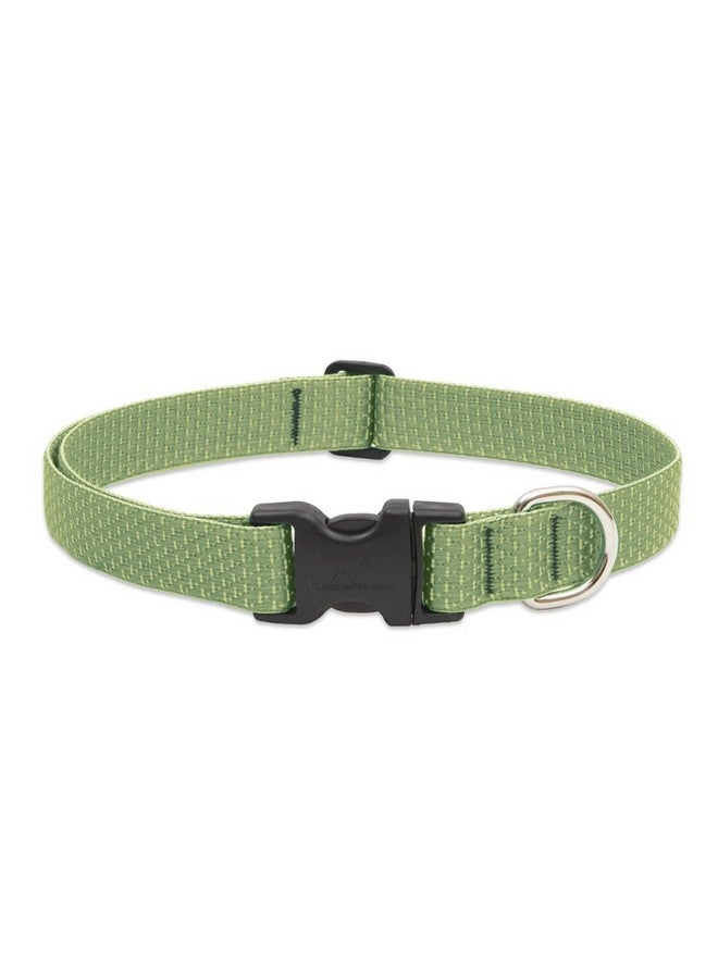 Lupine Eco by Lupine 1-Inch Recycled Fiber Collar, Adjustable for 12 to 20-Inch Medium to Large Dogs, Moss - Image 1