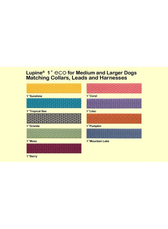 Lupine Eco by Lupine 1-Inch Recycled Fiber Collar, Adjustable for 12 to 20-Inch Medium to Large Dogs, Moss - Image 3