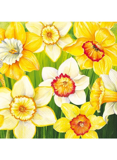 IHR Ideal Home Range Cocktail Napkins Disposable 3-Ply Paper Party Napkin Pack, 5" x 5", Daffodils Field, 20-Count