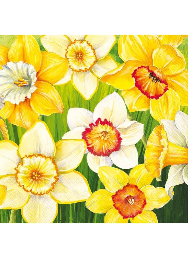 Boston International IHR Ideal Home Range Cocktail Napkins Disposable 3-Ply Paper Party Napkin Pack, 5" x 5", Daffodils Field, 20-Count  - Image 1