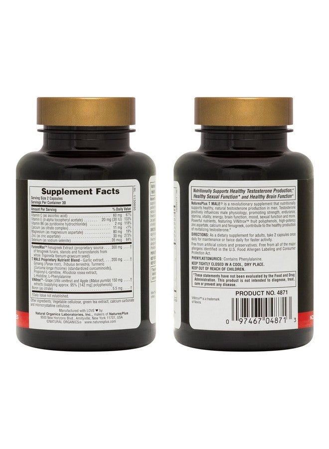 NaturesPlus نيتشرز بلس تي-ميل - 60 كبسولة نباتية، عبوة من 2 - مع الجنسنج، روديولا وفورانومكس - خالي من الجلوتين - 60 حصة إجمالية - Image 2