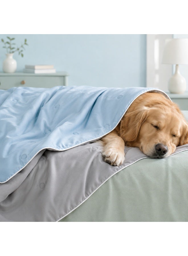 Premium cooling blanket, perfect for summer, a thoughtful gift for your pet, Breathable, washable, and heat-absorbing, it helps keep your pet cool on hot nights, Light blue and gray color scheme, 200×150cm - Image 1